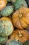 Various pumpkins background