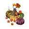 Various pumpkins, old lantern, maple leaves, Physalis flowers, blueberries watercolor illustration isolated on white