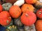 Various Pumpkins and Squash sold at Market