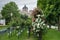 Various roses in park with museum in background