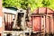 Various rusted wagons and train on the tracks