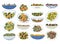 Various Salads in Bowl Mixed with Different Ingredients Big Vector Set