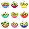 Various salads set, vegetable, fish and meat salad, healthy eating concept vector Illustrations