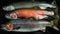 Various salmon fish on rustic table, AI generative flat lay, top view