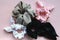 Various Scrunchies