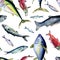 Various sea fishes seamless pattern watercolor illustration isolated on white. Wild fish, tuna, salmon, herring, anchovy