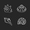 Various seashells chalk white icons set on black background