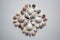 Various seashells composition on white background from above