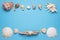 Various seashells and driftwoo on a blue background