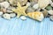 Various seashells, marine stones and starfish on blue rustic woo