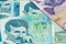 Various serbian dinar banknotes spread