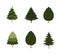 A various set of cute plain Christmas tree with lovely decoration ts flat vector illustration isolated on white background. Merry