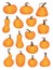 Various shaped pumpkins. Collection of hand drawn, vector illustrations.