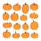 Various shaped pumpkins. Collection of hand drawn, vector illustrations.
