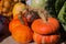 Various shapes and colors of pumpkins in a country fair
