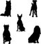 various silhouette 5 types of dog