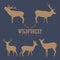 Various silhouettes of deer isolated on white background, christmas deers