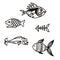 Various simple fish silhouettes in vector