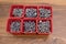 Various size and shape of screws selection in red plastic tray box on a wooden background