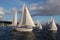 Various sized sailboats race on Lake Union