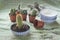 Various Small pots with baby cactus being transplanted