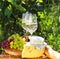 Various sorts of cheese, bread, grapes and two glasses of the white wine