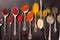 Various spices spoons