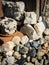 Various stones and shells lying on the ground