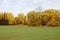 various trees with autumn colored leaves