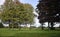 Various trees in Yorkshire