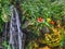 Various tropical plants in a greenhouse, pink orchids, red flowers and a small waterfall