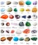 Various tumbled gemstones with names isolated