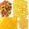 Various type of Italian pasta collage