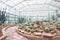 Various types of cactus and succulent in the glass house