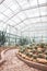 Various types of cactus and succulent in the glass house