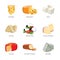 Various types of cheese in cartoon vector style