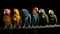 Various types of parrots are sitting in a row on a branch, black background, isolate. AI generated.