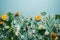 Various types of pills and dietary supplements, flowers on a colored background, flat layer