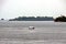 Various types of sea vessels and tugboats on the background of the coastline and city line of the city of Singapore.