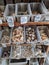 Various types of shells, holiday souvenir shop, sea treasures, plastic baskets, prices