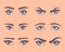 Various types of woman eyes with eyebrows.