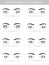 Various types of woman eyes, vector set