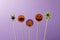 Various typical halloween sweets on a black background. Useful as a background for commercial purposes