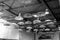 Various umbrellas hung under the ceiling. Black and white photo