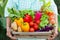 Various Vegetables in basket on senior woman hand