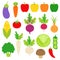 Various Vegetables Clipart Set in flat vector style. Collection of vector illustration veggies. Vegetable graphic elements.  