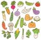Various vegetables doodle kawaii design element