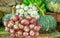 Various vegetables garlic, red onion, green pumpkins and bananas still life style background