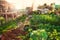 Various vegetables growing on a small allotment plot