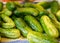 Various vegetables harvested from the field and washed, harvest time, vegetable canning, summer